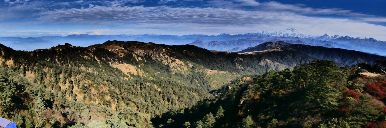 sandakphu phalut trek, sandakphu trekking, dzongri trek, dzongri goeachala trekking