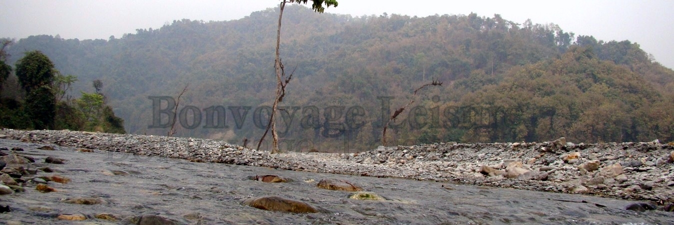 jaldapara national park and gorumara forest tour package
