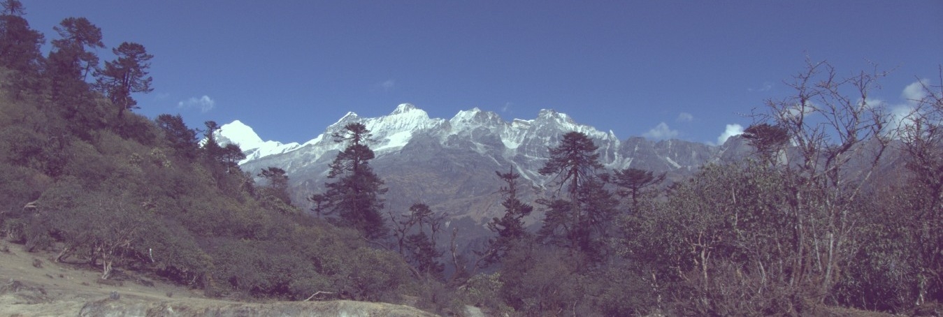 dzongri trek, trek details of dzongri, trek package booking for dzongri