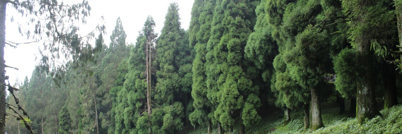 lava loleygaon rishyap kolakham charkhole tour package