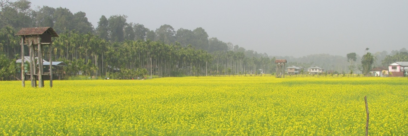 buxa forest, buxa tiger reserve tour under dooars tour