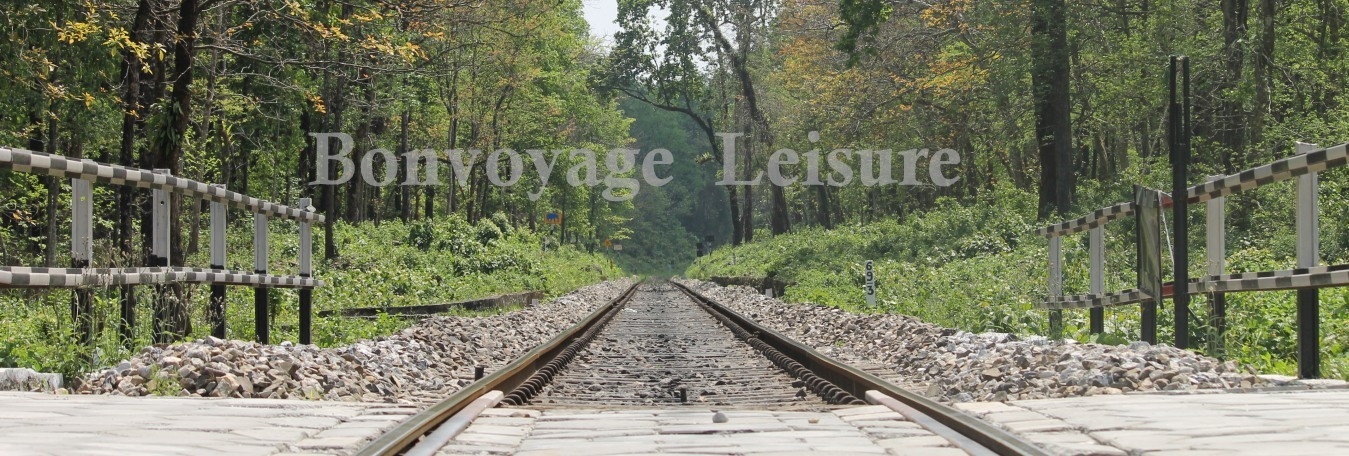 gorumara forest tour with chapramari forest