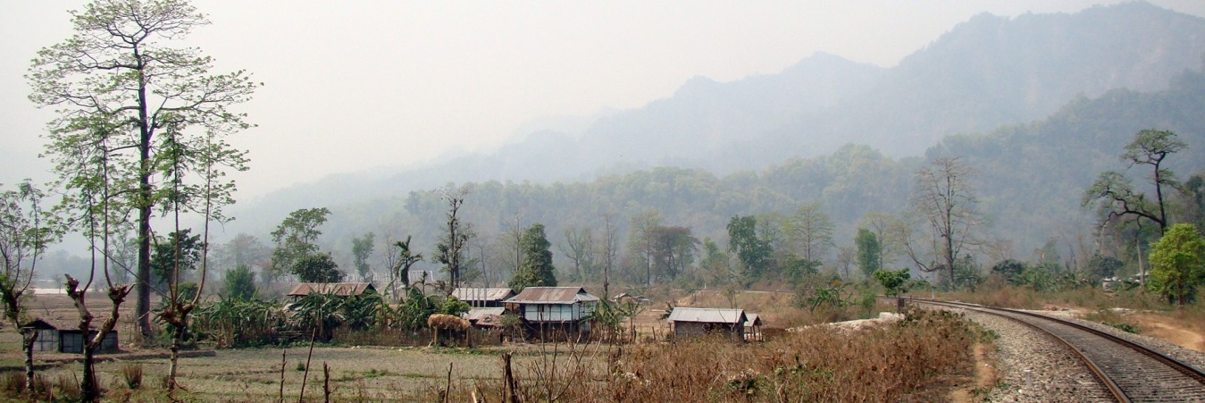 jaldapara national park tour package, buxa forest tour, dooars tour package