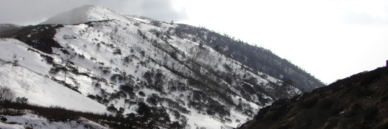 zuluk, old silk route