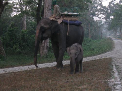 thetourindia.com Glimpses