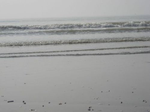 thetourindia.com Glimpses