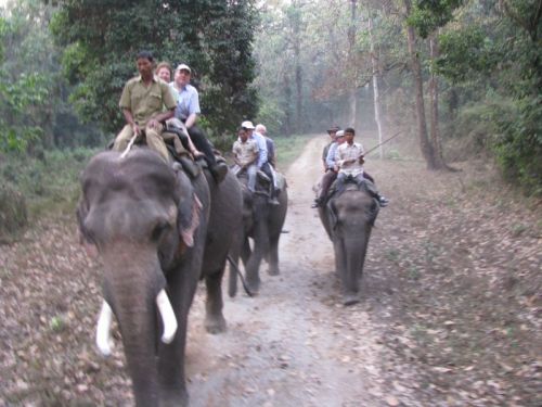thetourindia.com Glimpses