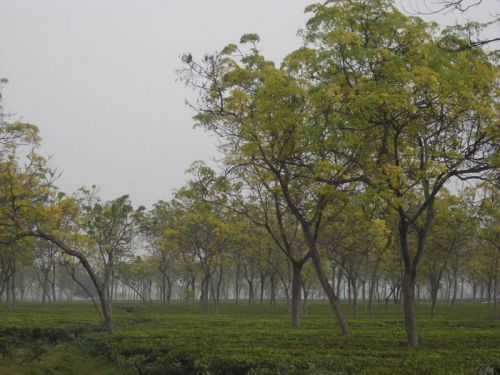 thetourindia.com Glimpses