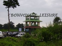 chandrachur watch tower in gorumara national park