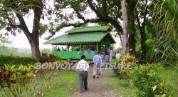 rhino camp in gorumara national park